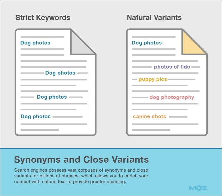 Synonyms and Close Variants